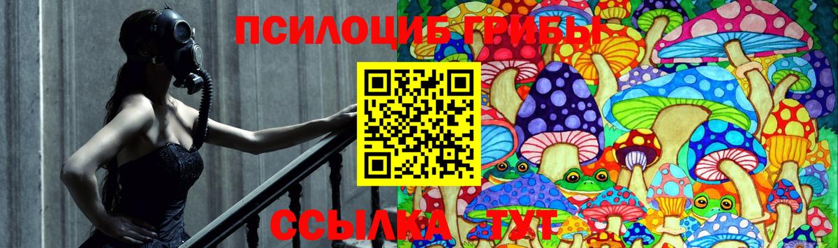 Острогожск  Галлюциногенные грибы мухоморы  Вход с VPN 