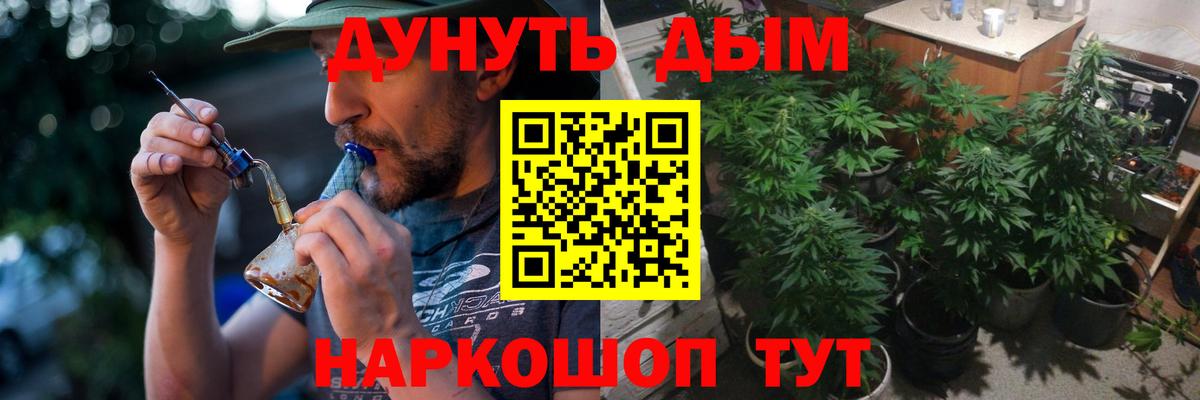 Конопля гибрид  Конопля гибрид  Бошки марихуана план  Вход с VPN  Острогожск 